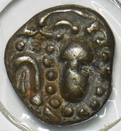 インド藩王国 1500年～1700年 パイサ 虫 動物 インド北西部 I0528 組み合わせ