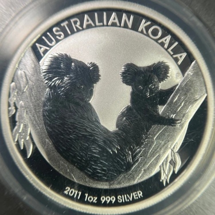 オーストラリア。2011年、ドル、銀 - ANACS MS70 - トップポップ ?? コアラ、ジョーイ（赤ちゃん）??｜WORLD RESOURCE【KING店】
