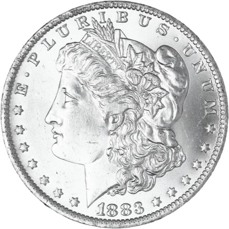 1883 O モルガン・ダラー BU 写真 J229 参照｜WORLD RESOURCE【KING店】