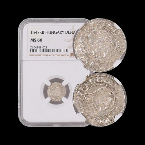 ハンガリー。1547年、デナル、銀 - NGC MS60 - 聖母子像｜WORLD RESOURCE【KING店】 68,365円