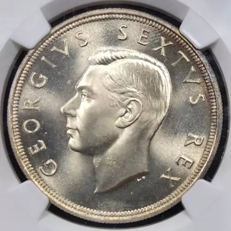 プルーフライク銀貨 1952年 南アフリカ 5シリング | NGC PL67 - ケープタウン創設｜WORLD RESOURCE【KING店】 84,095円