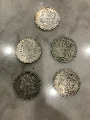 5 モルガン銀貨。1881-O、1887、1890、1891、1900-O。銀含有量 90%。|WORLD RESOURCE【KING店】
