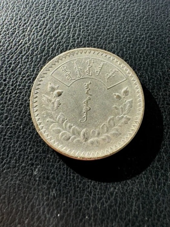 楽天市場】モンゴル 250トゥグルグ 1992年 プルーフ「絶滅危惧野生生物