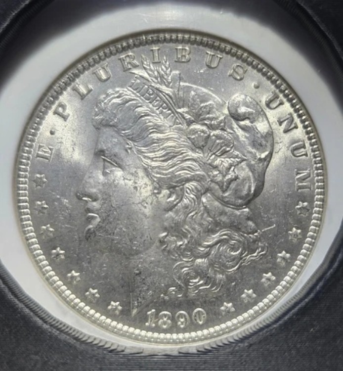 1890年 P モルガン銀貨 BU、送料無料、#01000039 67,760円
