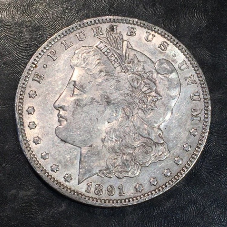 1891-O モルガン・ダラー - 高品質スキャン #N560