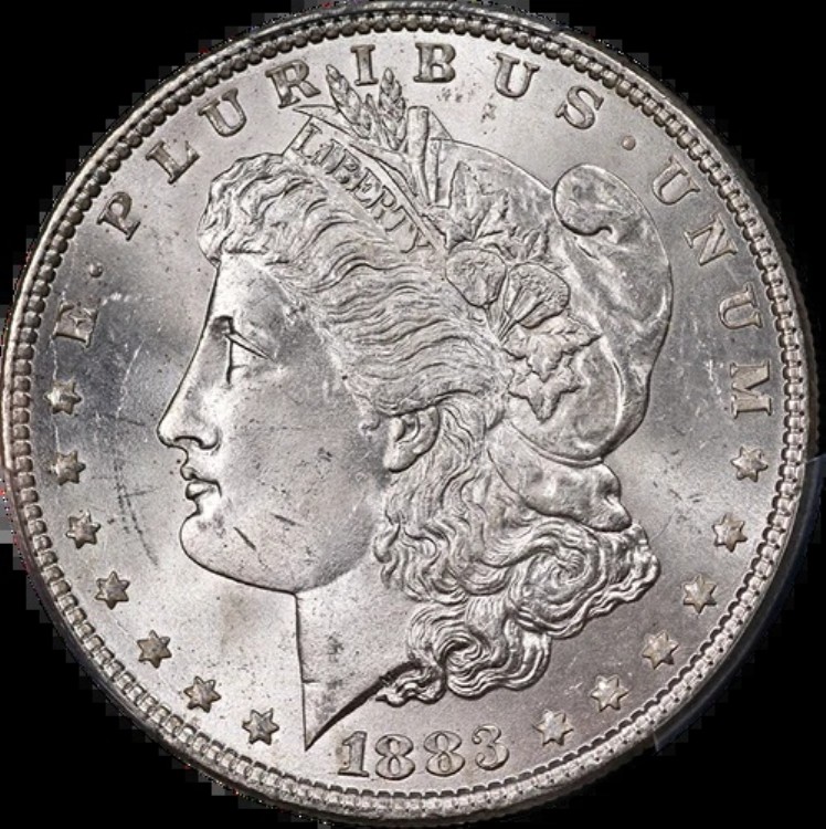 1883-P モルガン銀貨 PCGS MS64 ブラストホワイト 素晴らしい外観｜WORLD RESOURCE【KING店】