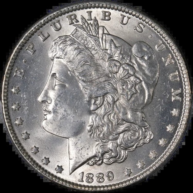1889-P モルガン銀貨 PCGS MS64 ブラストホワイト ストロングストライク - 在庫あり｜WORLD RESOURCE【KING店】