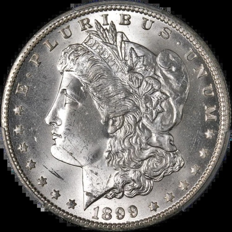 1899-O モルガン銀貨 PCGS MS64 ブラストホワイト ナイスストライク 在庫あり｜WORLD RESOURCE【KING店】