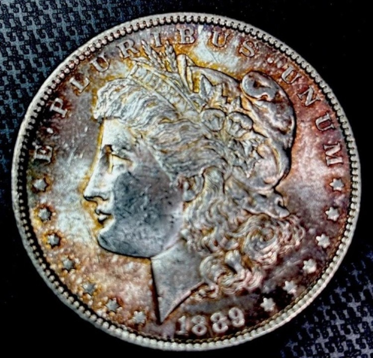 1889年 モルガン銀貨 未流通 - VAM バーウィング - トップ100｜WORLD RESOURCE【KING店】