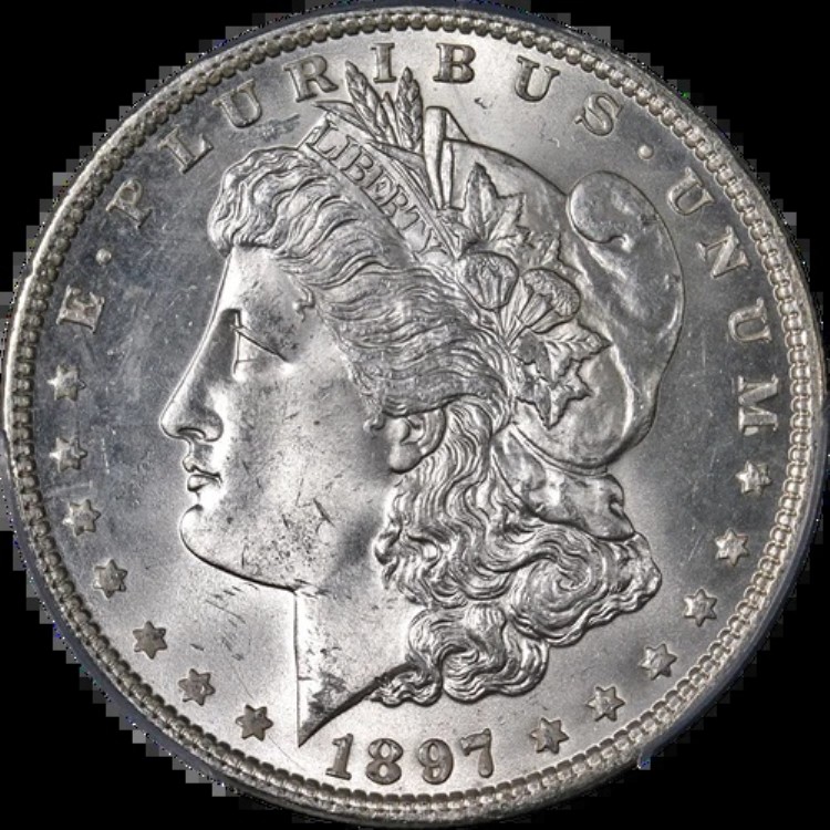 1897-P モルガン銀貨 PCGS MS64 ブラストホワイト ストロングストライク - 在庫あり｜WORLD RESOURCE【KING店】