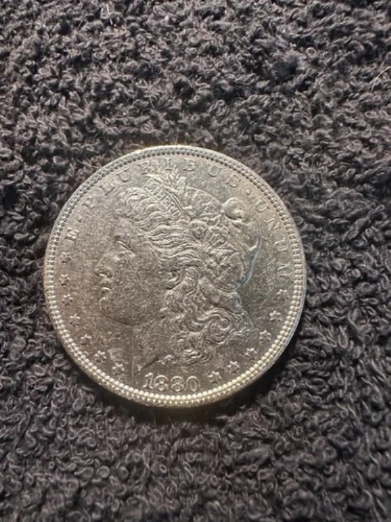 モルガン 1880ペンス（bu）銀貨（264） 105,875円