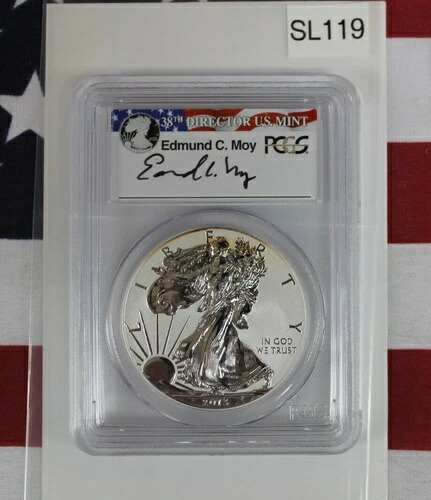 2013年 W シルバー イーグル リバース プルーフ PCGS PR70 ウェストポイント ファースト ストライク (SL119)