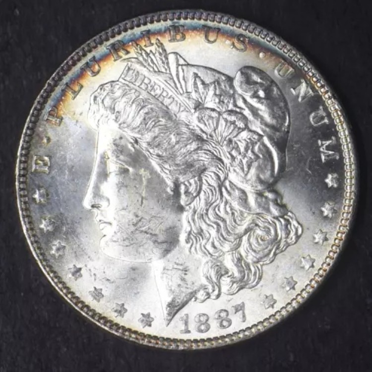 1887-P「トップ100 VAM 12 DDO アリゲーターアイ」クレセントトーン モルガン銀貨 1ドル