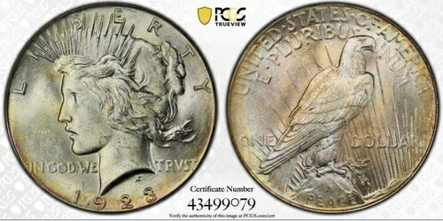 1923年ピースダラー PCGS MS62 CAC