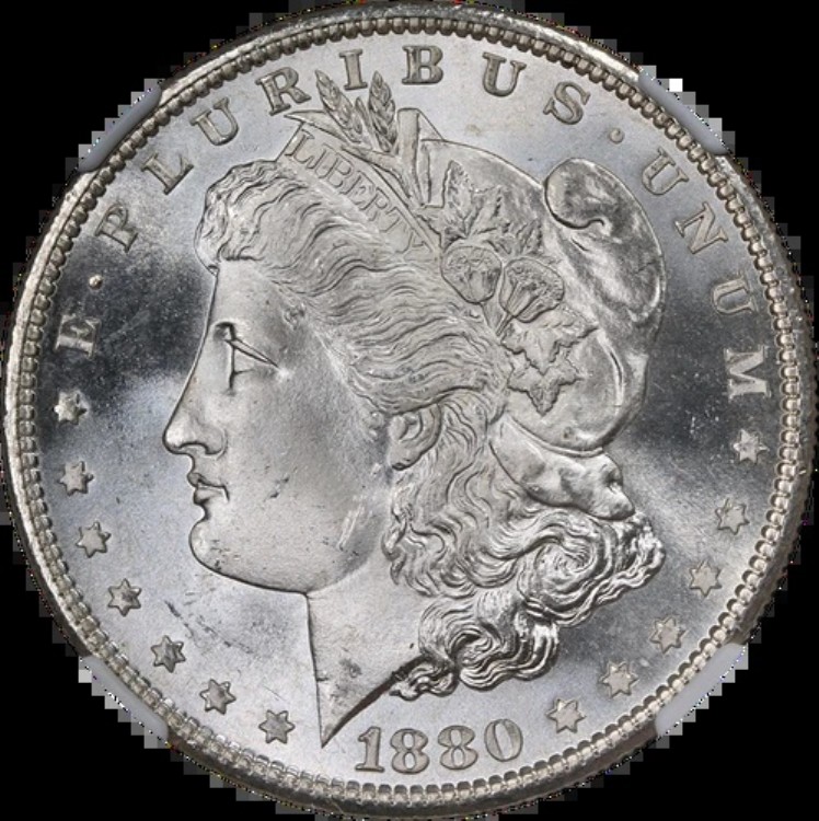 1880-S モルガン銀貨 NGC MS65+ 輝く白い宝石 素晴らしい外観｜WORLD RESOURCE【KING店】