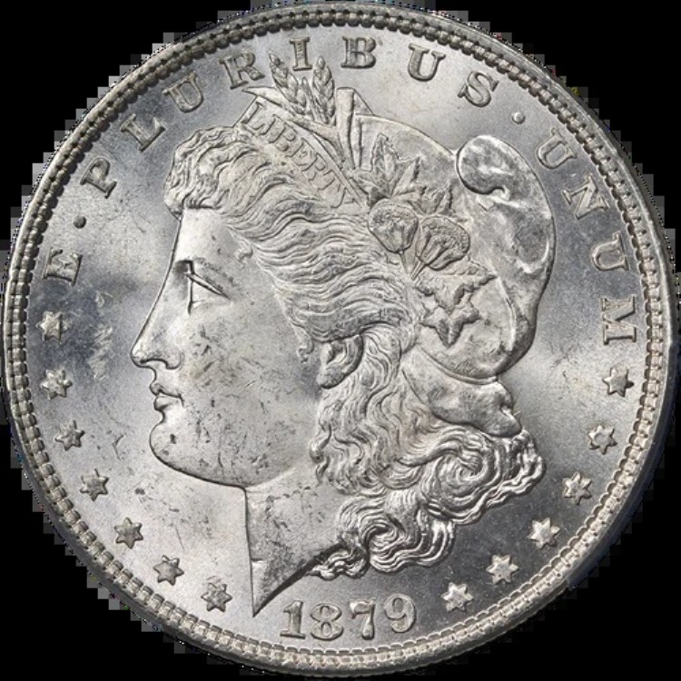 1879-P モルガン銀貨 PCGS MS64 ブラストホワイト 素晴らしい外観｜WORLD RESOURCE【KING店】