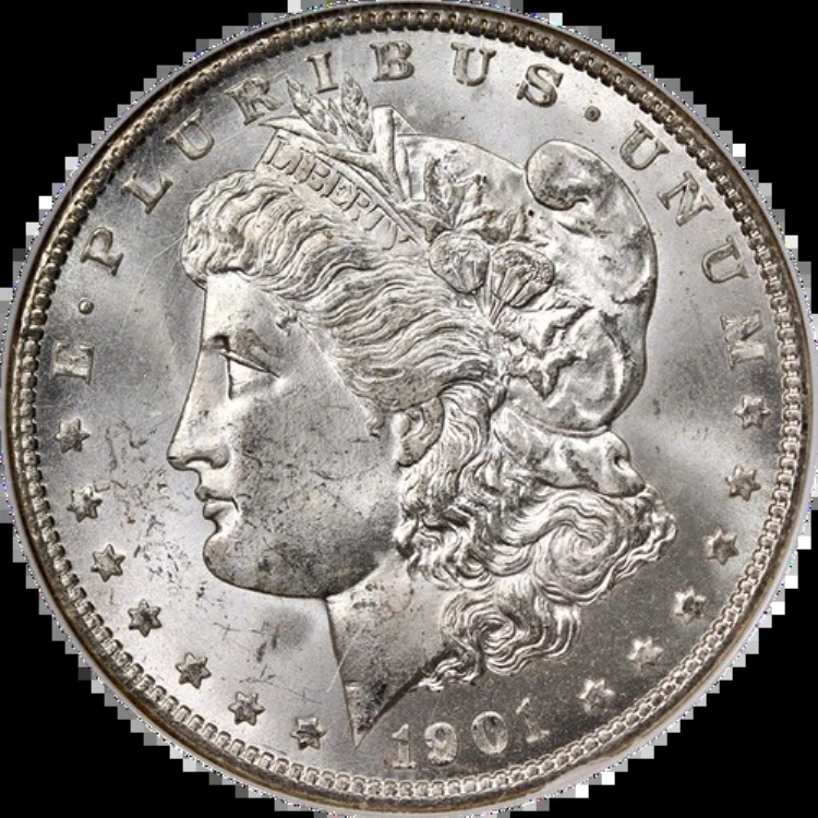 1901-O モルガン銀貨 NGC MS65 ブレイジングホワイト グレートアイアピール｜WORLD RESOURCE【KING店】