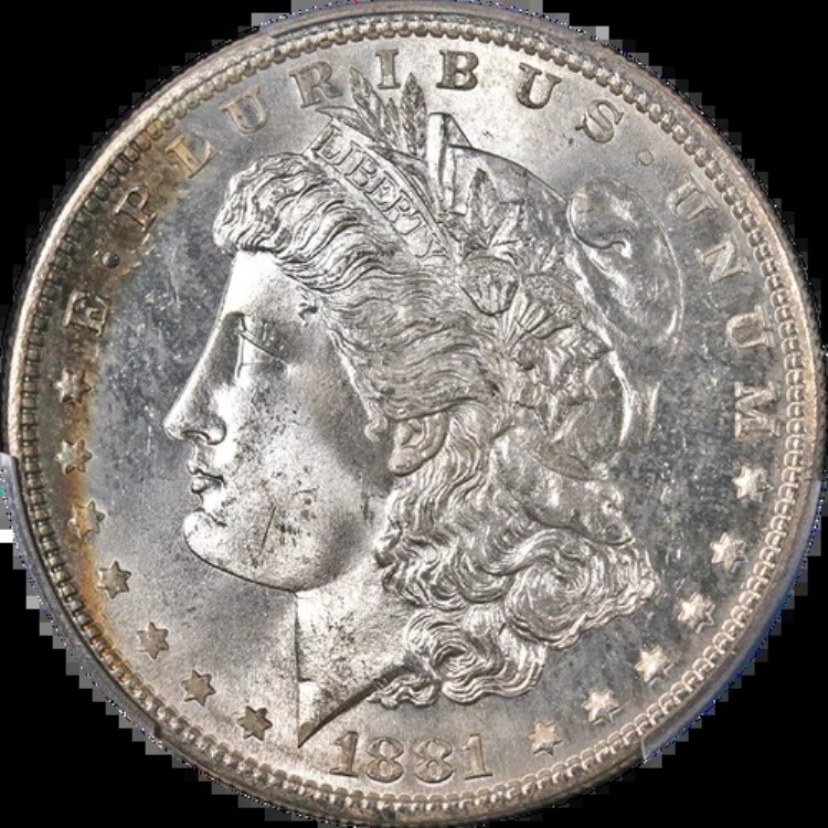 1881-S モルガン銀貨 美しい色 PCGS MS65 素晴らしい外観｜WORLD RESOURCE【KING店】