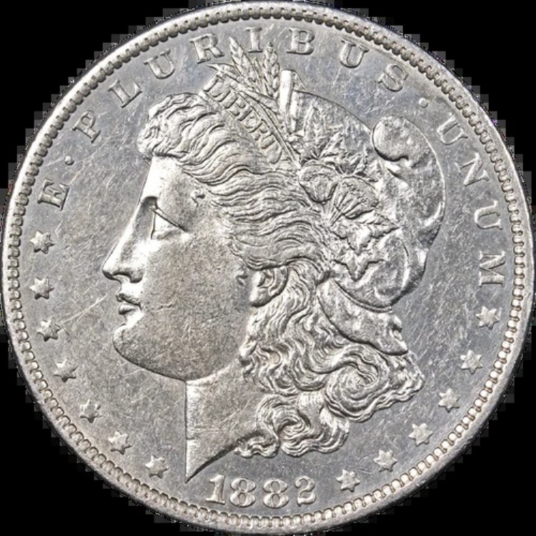 1882-O/S モルガン銀貨 初期型 状態 VAM 4 凹型 美品 AU/BU｜WORLD RESOURCE【KING店】
