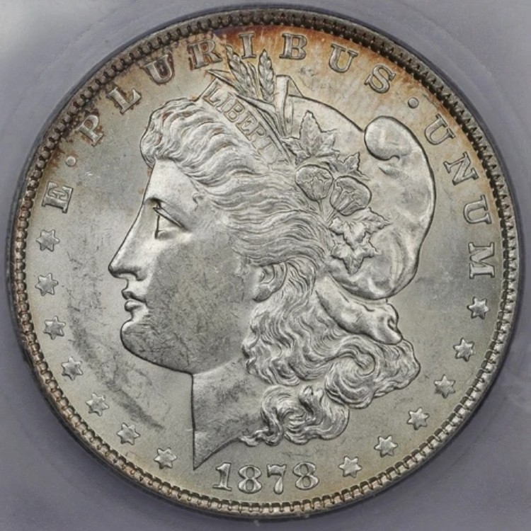 1878年 7TF 79モルガン銀貨の裏面 - ICG MS 62｜WORLD RESOURCE【KING店】