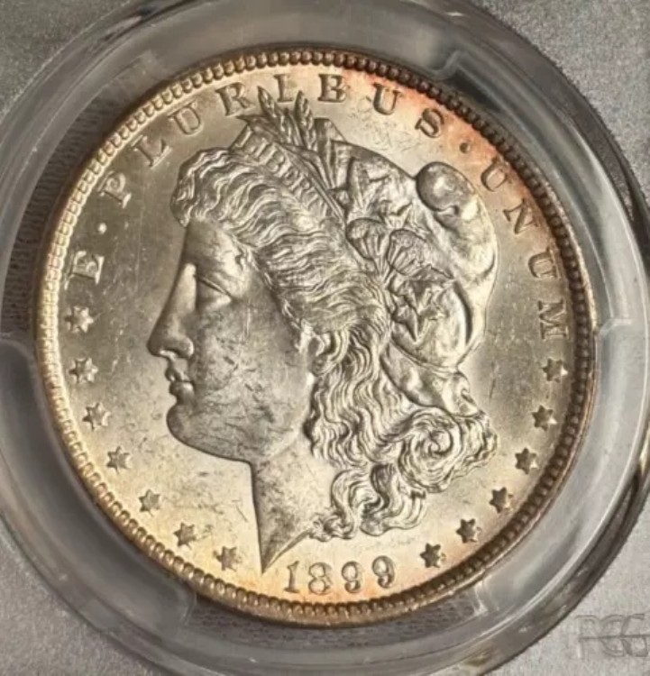 1899-O モーガンシルバー 1ドル PCGS MS 63 美しいリムトーニング|WORLD RESOURCE【KING店】