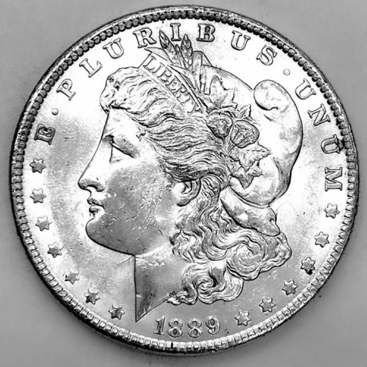 1889年 AU 未流通 モルガン シルバー ドル 90% シルバー 1ドル US コイン - 美品! J56