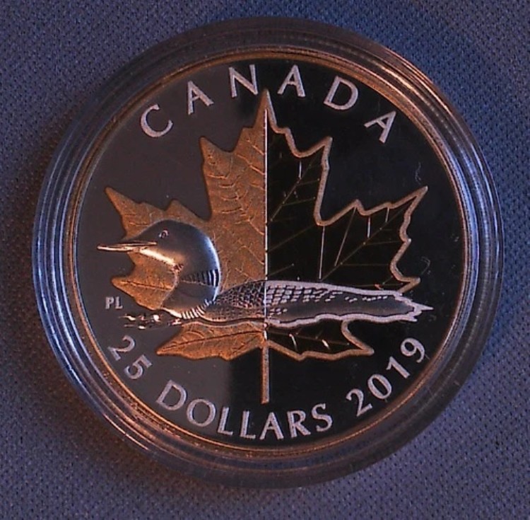 2019年 25ドル銀貨 ピエフォート・タイムレス・アイコンズ・ザ・ルーン。発行枚数7000枚。|WORLD RESOURCE【KING店】