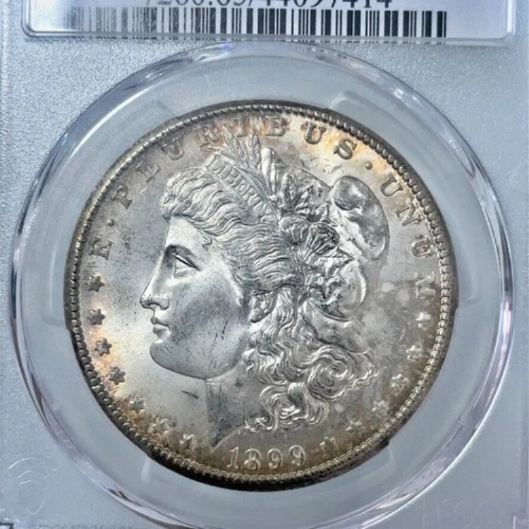 1899 O モルガン シルバー ダラー PCGS MS65 カラートーン｜WORLD RESOURCE【KING店】