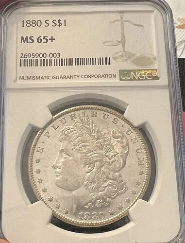 1880-S モルガン銀貨 NGC MS65+ 輝く白い宝石 素晴らしい外観｜WORLD RESOURCE【KING店】