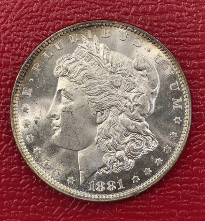 1881 P モーガン シルバー ダラー、ジェム チョイス、未流通、プルーフライク。｜WORLD RESOURCE【KING店】