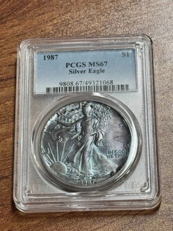 1987年 アメリカン シルバー イーグル PCGS MS67 モンスター トーニング トーン コイン (Slab1067) (TNO)｜WORLD RESOURCE【KING店】 117,700円