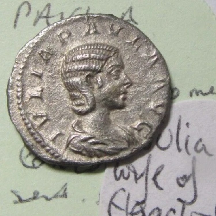 ローマのユリア・パウラ銀貨デナリウス紀元219年 裏面コンコルディア 左着座像 S7655｜WORLD RESOURCE【KING店】