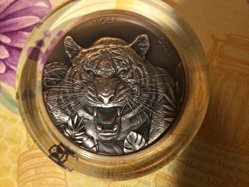 2023年-「銅芯入り虎双巨獣銀貨」10バツアツ貨幣|WORLD RESOURCE【KING店】