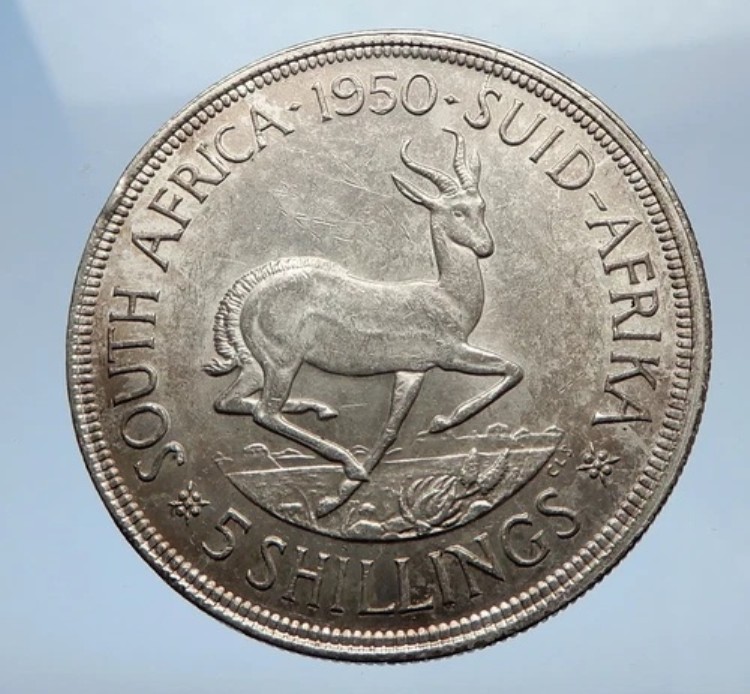 1950年 南アフリカ 大型銀貨 5シリング ジョージ6世 スプリングボック 鹿 i69424｜WORLD RESOURCE【KING店】