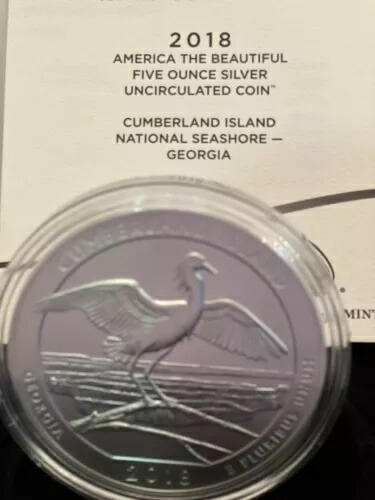 2018 P ジョージア 5オンス シルバー アメリカ ザ ビューティフル カンバーランド アイランド シーショア画像