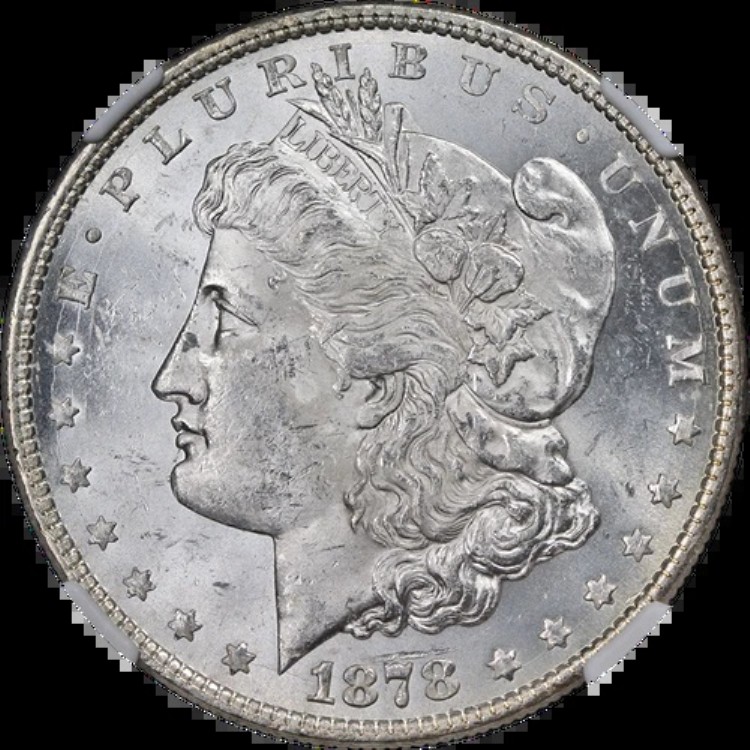 1878-P 8TF モルガン銀貨 NGC MS62 ブラストホワイト ナイスアイアピール｜WORLD RESOURCE【KING店】