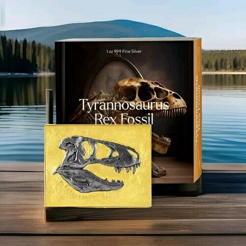 2023 チャド 5000 フラン **T-REX 化石** 金メッキ 15.5 オンス .999 シルバー & CU コイン|WORLD RESOURCE【KING店】