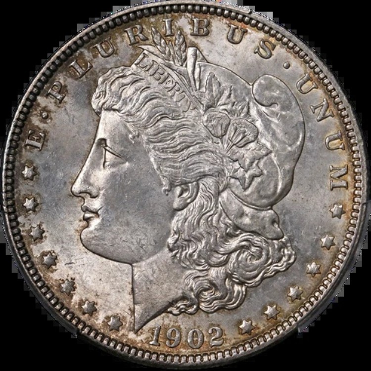 1902-P モルガン銀貨 PCGS MS63 光沢 強打|WORLD RESOURCE【KING店】