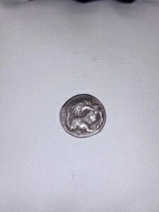 シシリアン シルバー リトラ ヒメラ レガシー