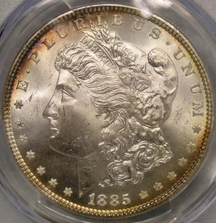 1885年 モーガン銀貨 魅力的な美しい宝石光沢 鮮明なディテール PCGS MS 65|WORLD RESOURCE【KING店】