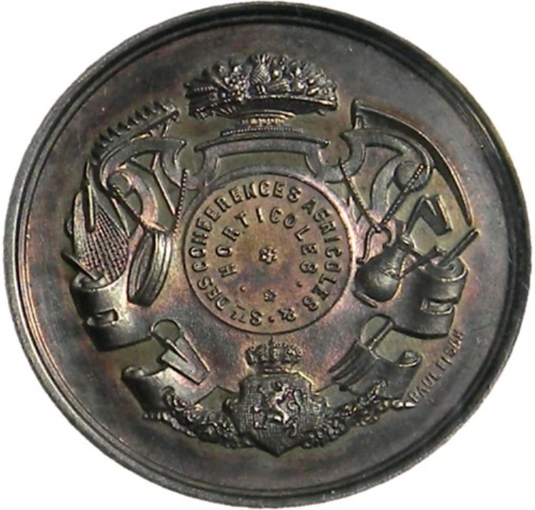 1889年 イクセル農業園芸銀メダル フィッシュ作 NGC MS 63｜WORLD RESOURCE【KING店】
