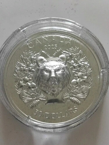 2025年 50ドル 純銀貨 - 紋章付き熊の高浮き彫り（2.25オンス純銀）