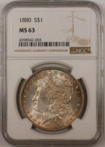 1880年 1ドル モルガン銀貨 NGC MS-63 トーン (13A)｜WORLD RESOURCE【KING店】 138,050円