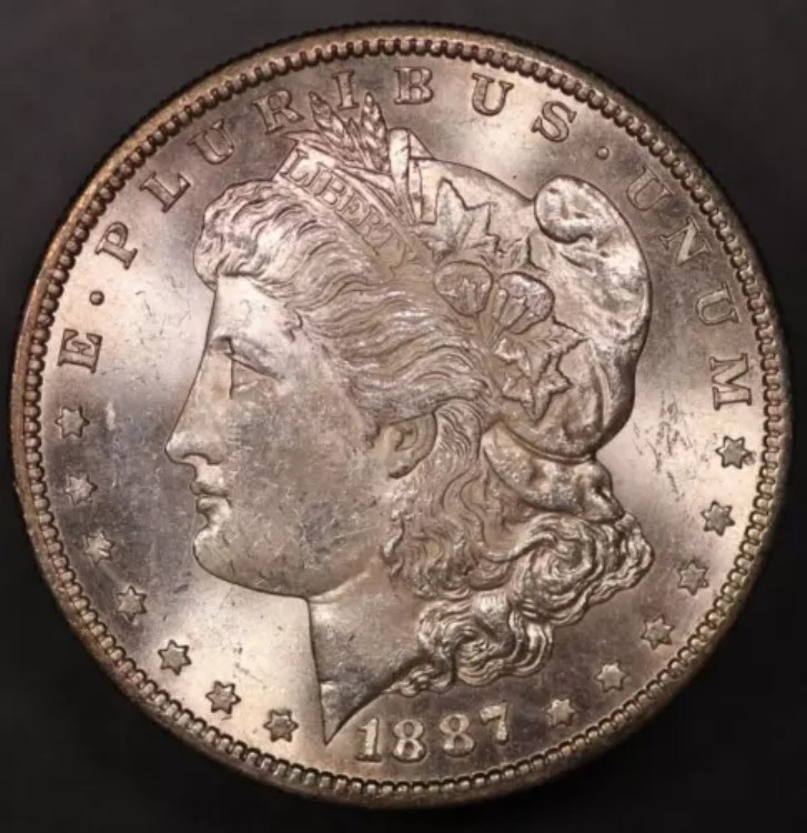 1887年 S モーガン シルバードル - 古いコレクションから新品 - ロット AA-7081｜WORLD RESOURCE【KING店】
