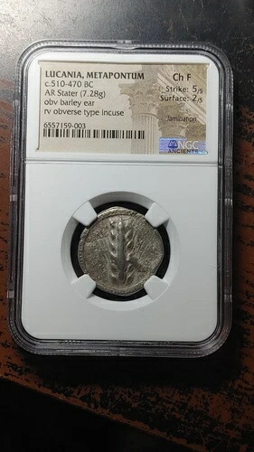 ルカニア銀貨 スタテル ギリシャ メタポントゥム 紀元前510-470年 NGC アンシエンツチョイス F 4071