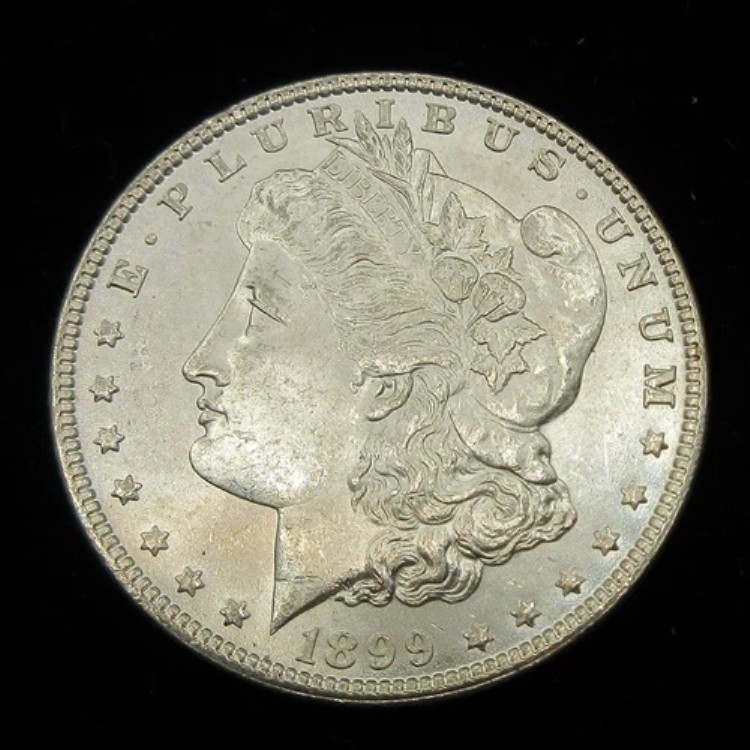 1899 モーガン シルバー ダラー BU Lot#713