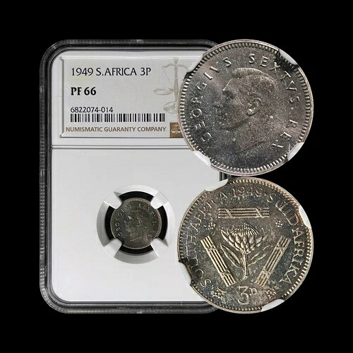 南アフリカ。1949年、3ペンス、銀貨 - NGC PF66 - KGVI、プロテアの花、希少