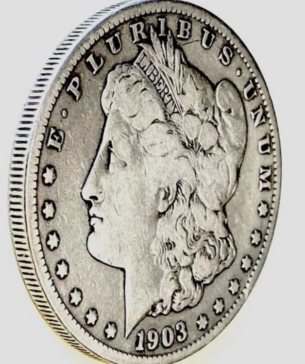 1903年モルガン銀貨 VF 詳細