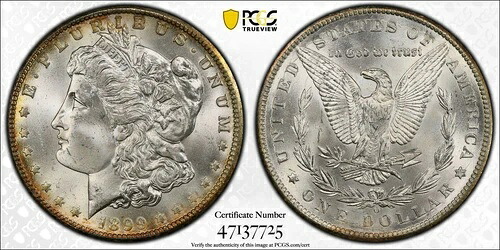 1899年 O モルガン銀貨 PCGS MS-65｜WORLD RESOURCE【KING店】