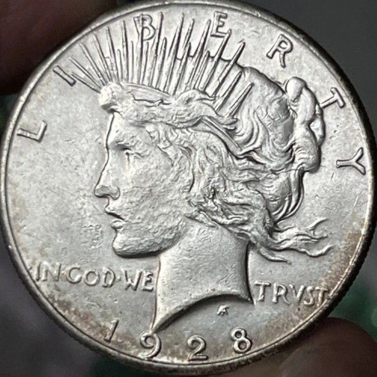 1928年 P シルバーピースダラー、フィラデルフィア XF/AU 詳細（クリーニング済み）｜WORLD RESOURCE【KING店】